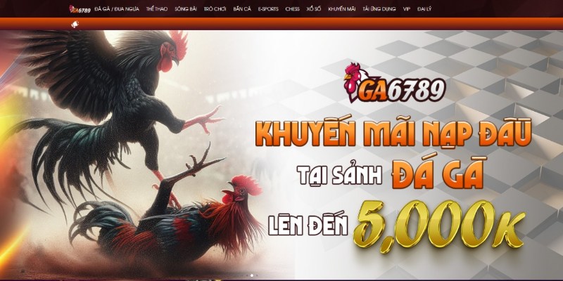 Thực hiện đúng quy trình nạp tiền và đặt cược đảm bảo giao dịch minh bạch