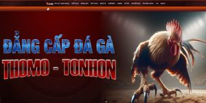 Đá gà CPC2 trực tuyến đã trở thành lựa chọn ưu tiên của nhiều người