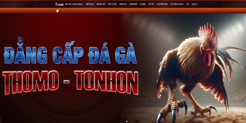 Đá gà CPC2 trực tuyến đã trở thành lựa chọn ưu tiên của nhiều người