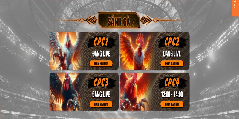 Giới thiệu nguồn gốc của đá gà CPC3