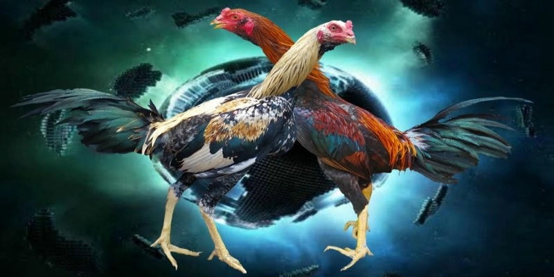 Hướng dẫn tham gia cực đơn giản