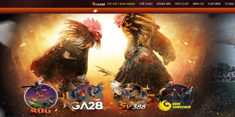 Mục tiêu phát triển trong tương lai