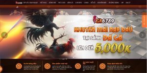 Giới thiệu về trường gà đòn savan